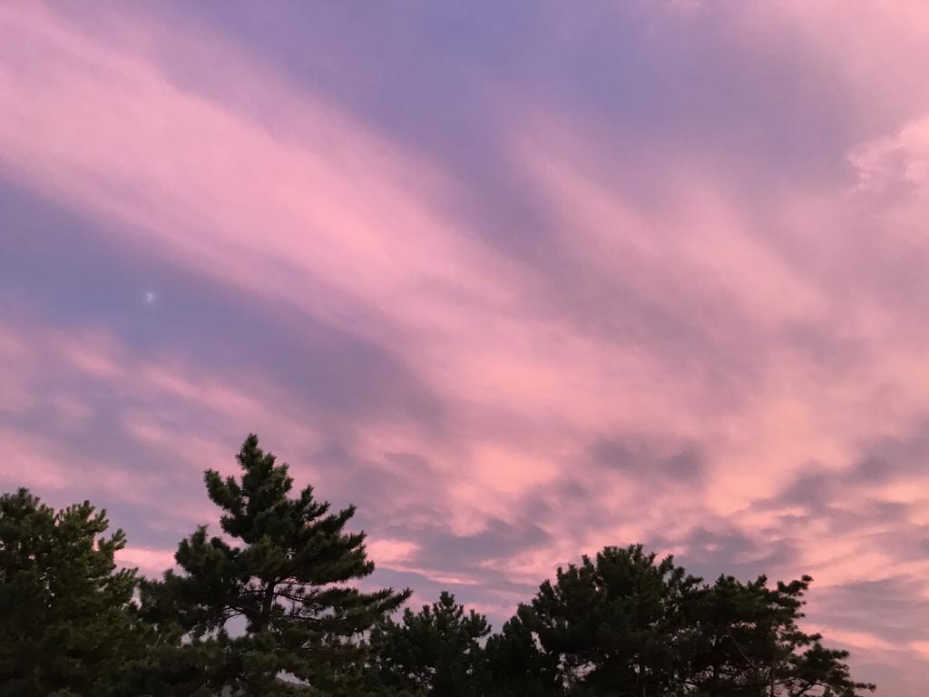 Minshuku Tairyoumaru Amakusa  Buitenkant foto